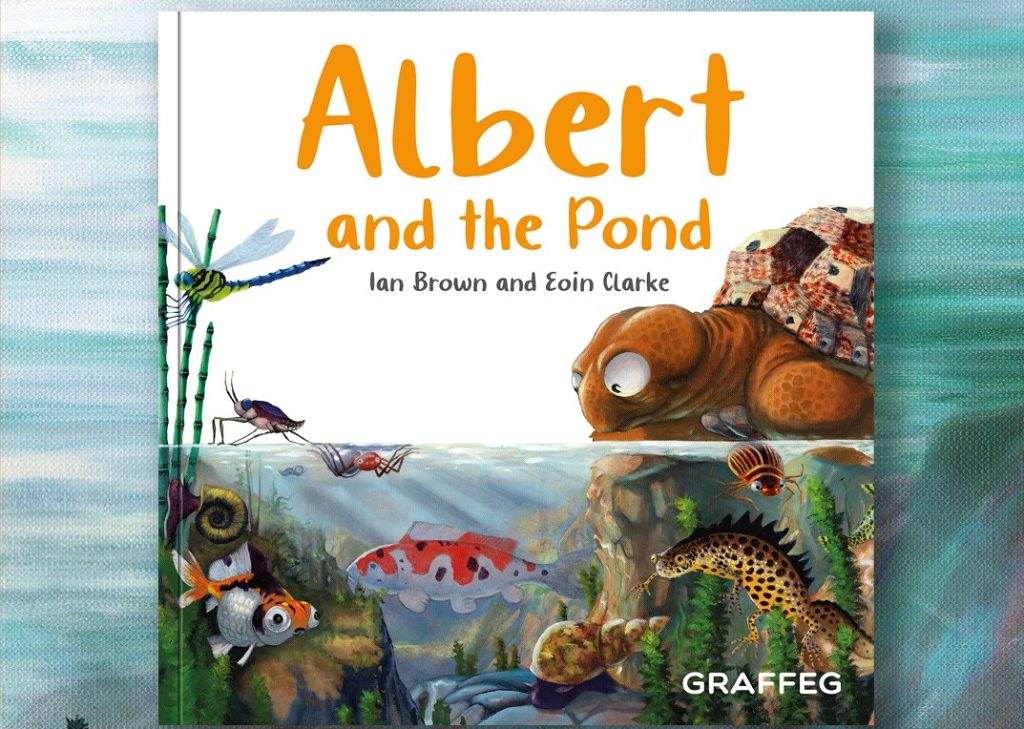 Albert and The Pond Cover