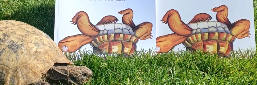 Festivals and Fiestas