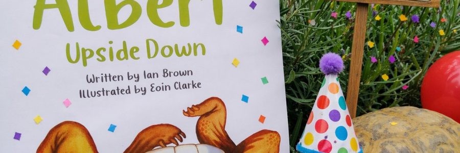 Little Tortoise BIG NEWS