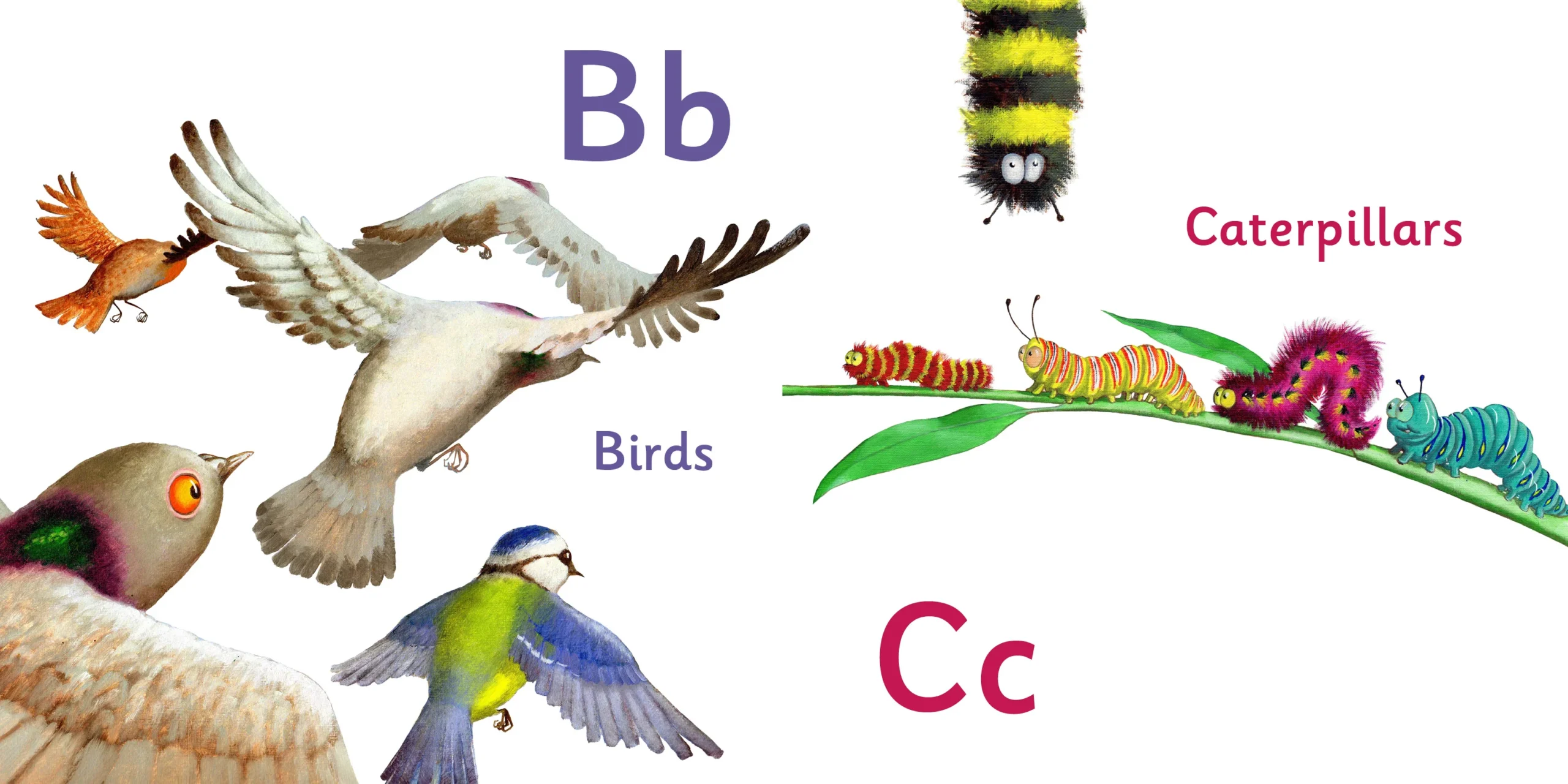 AlbertABCBoardBook_3