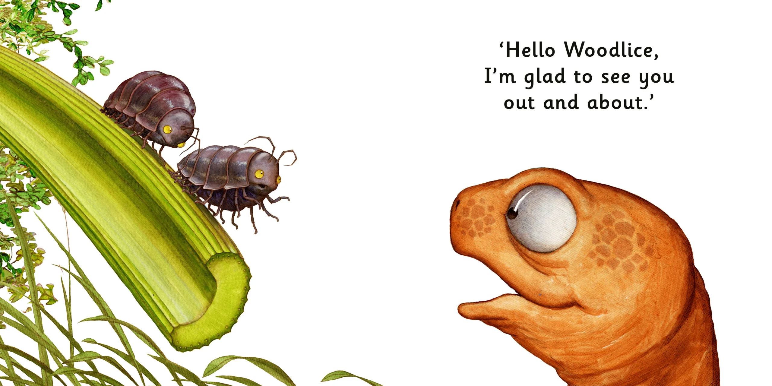 AlbertBoardBook_Friends_4-scaled.webp