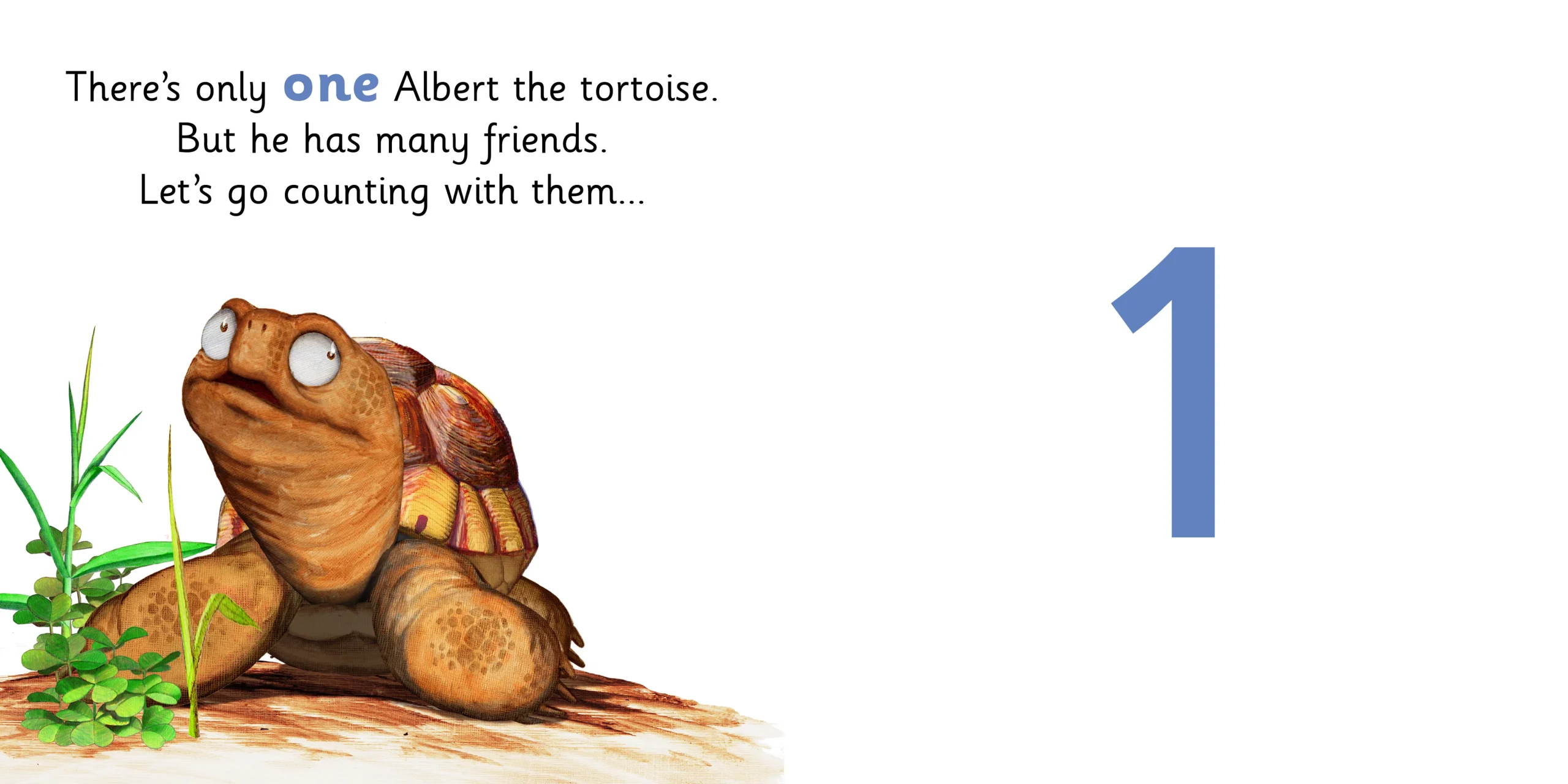 Albert_123_Board_spread_2-scaled.webp
