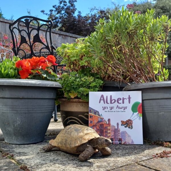 Albert and Welsh In the Air 2