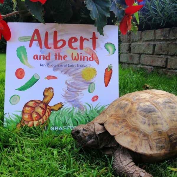 Albert and the wind with Albert cover August 2021