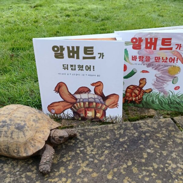 Albert the tortoise with Korean books 1