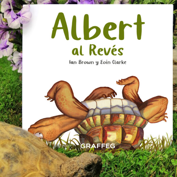 Real Albert checking Albert al Reves
